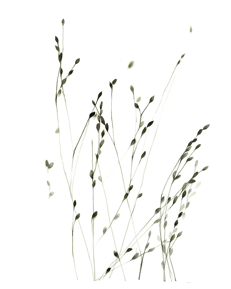 Erbe