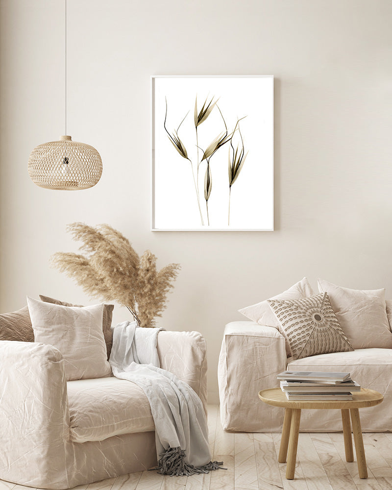 Avena (particolare)
