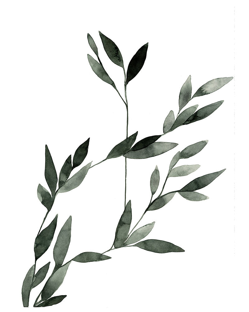 Agrostis (particolare)