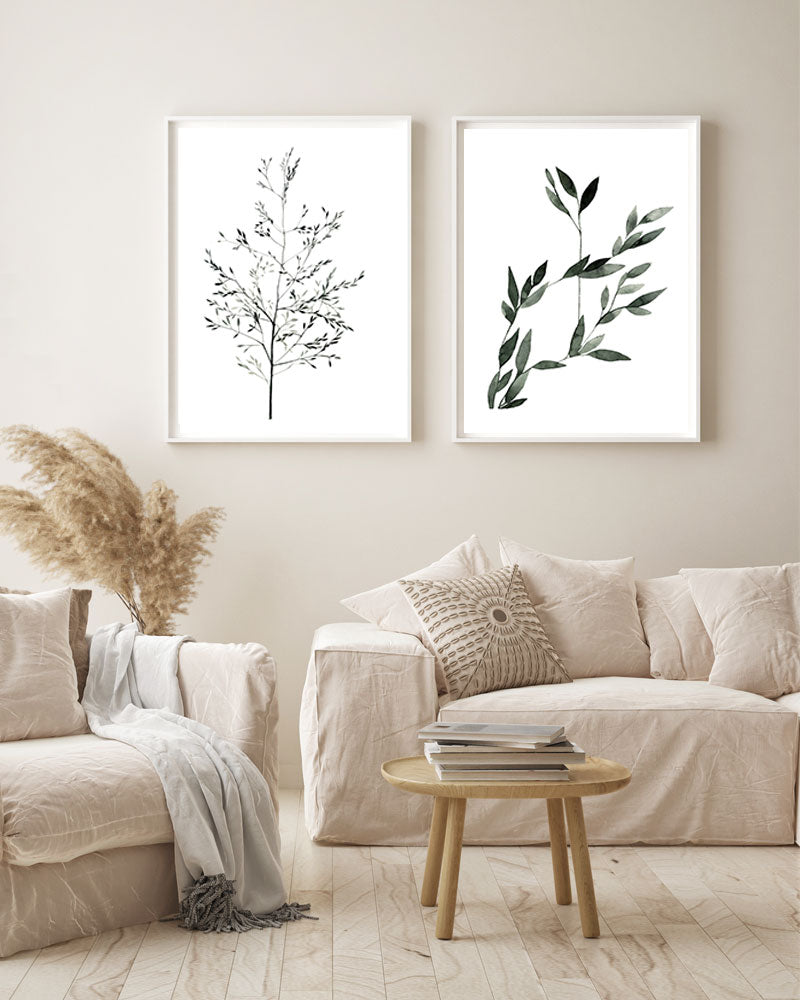 Agrostis (particolare)