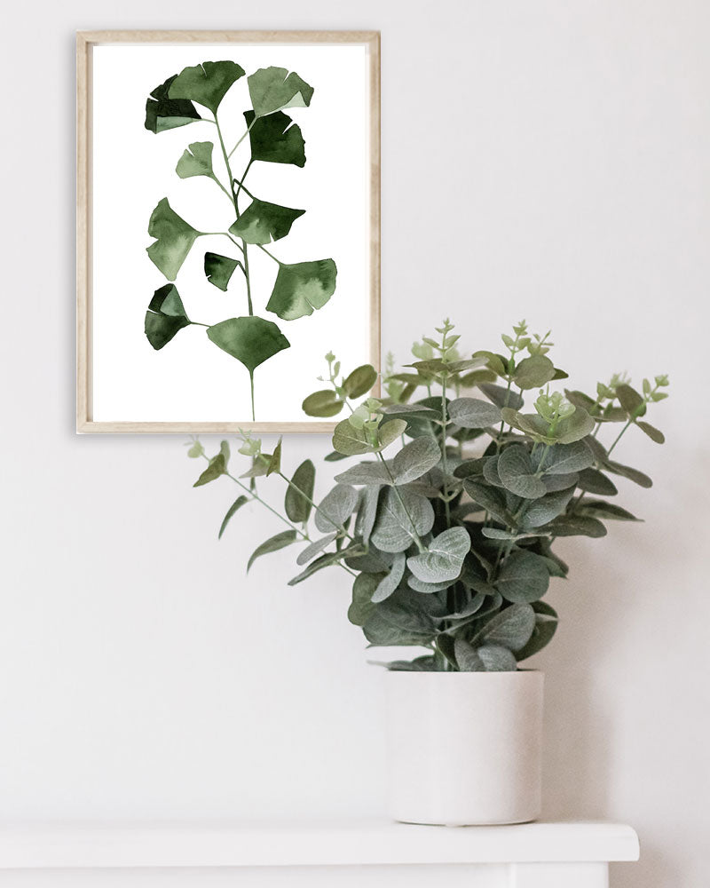 Ginkgo biloba (particolare)