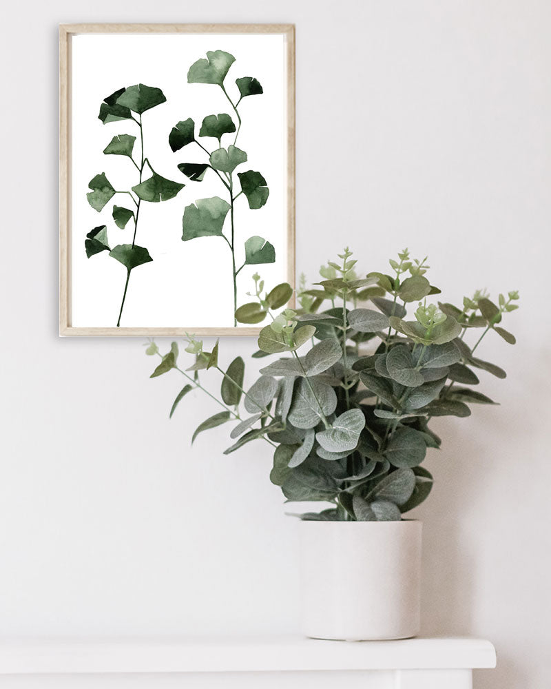 Ginkgo biloba