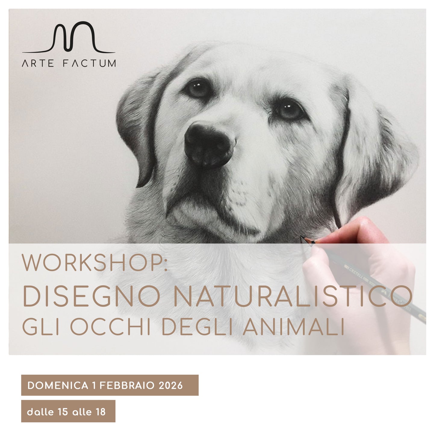 Workshop disegno naturalistico