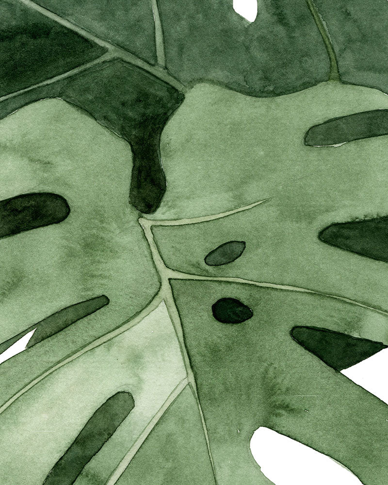 Monstera (detail)