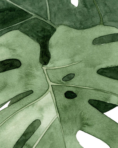 Monstera (detail)